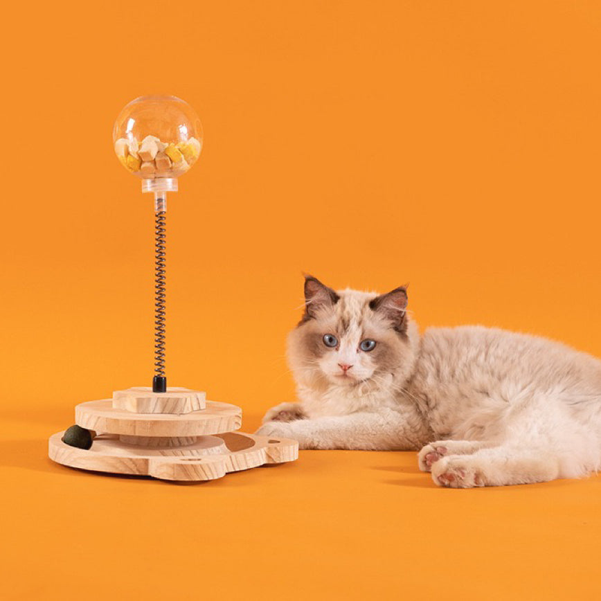 Solid Wood Turntable Food Leaking Pet Toy - Paws Discovery 