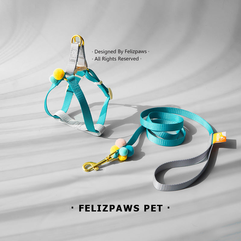 Small Breed Harness Set with Leash - Paws Discovery 