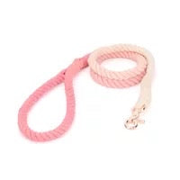 Hand Braided Colour Cotton Rope Leash - Paws Discovery 