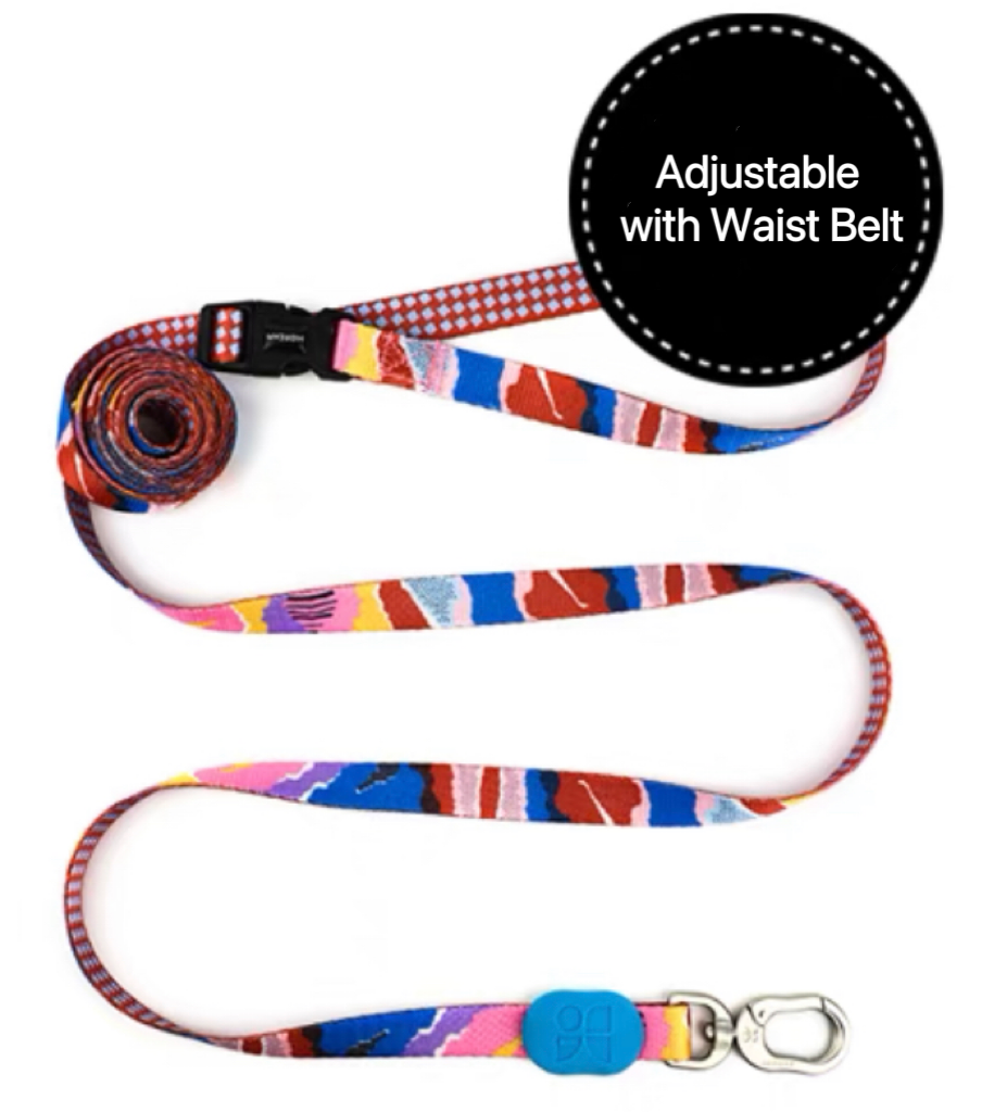 Adjustable Waist Dog Leash with Shock Absorbing