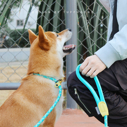 Nylon Rope Training P Type Leash - Paws Discovery 