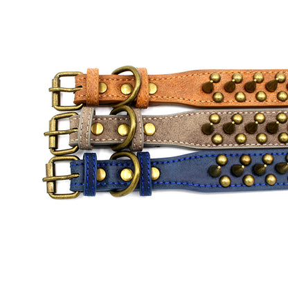 Anti-bite Sharp Spiked Studded Dog Collar - Paws Discovery 