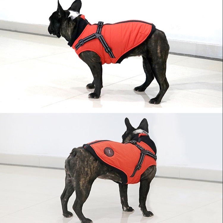 Winter Jacket Coat with Built-in Harness