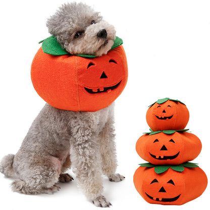 Halloween Costume - Paws Discovery 