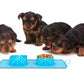 Waterproof Silicone Collapsible Dual-Use Bowl For Pet
