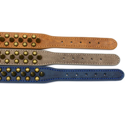 Anti-bite Sharp Spiked Studded Dog Collar - Paws Discovery 