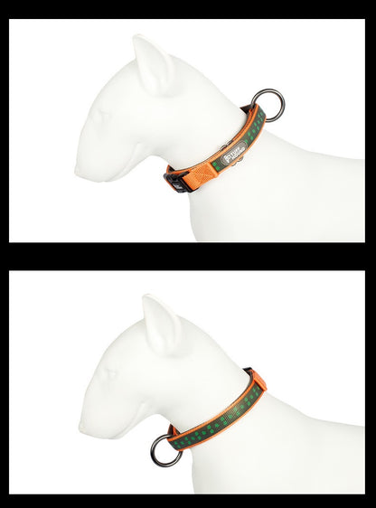 Night Reflective Dog Collar - Paws Discovery 