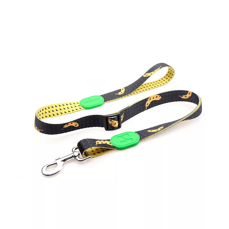 HiDream Adjustable Dog Leash - Paws Discovery 