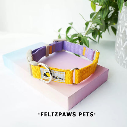 Light Weight Dog Collar with Safety Lock