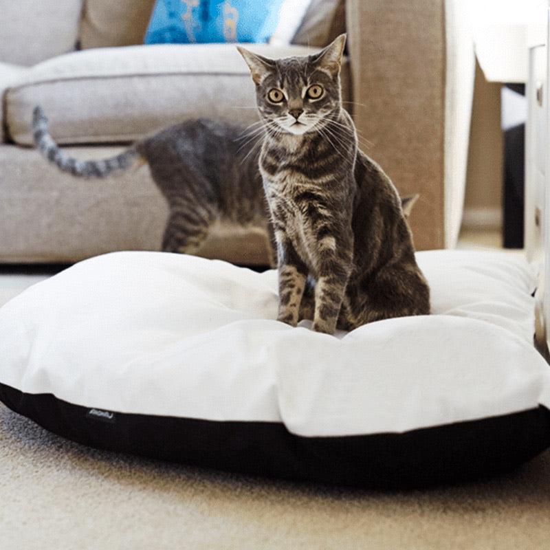 Foldable Cuddler Pet Bed - Paws Discovery 