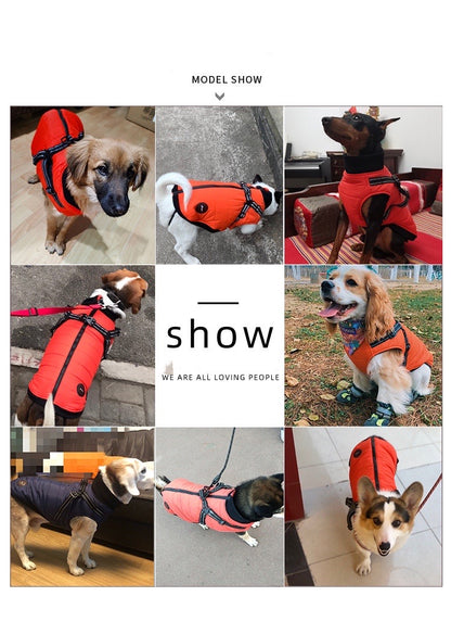 Winter Jacket Coat with Built-in Harness - Paws Discovery 