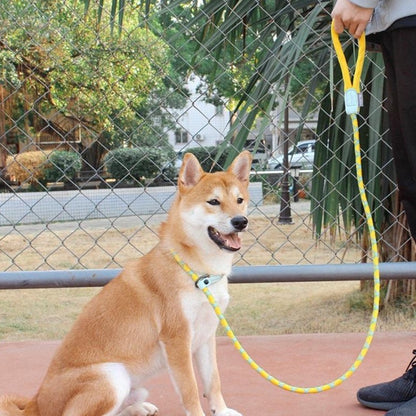 Nylon Rope Training P Type Leash - Paws Discovery 