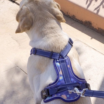 Reflective Adjustable Dog Harness - Paws Discovery 