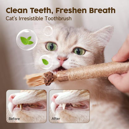 1 pc Catnip Chewing Sticks with Silvervine Stick - Paws Discovery 