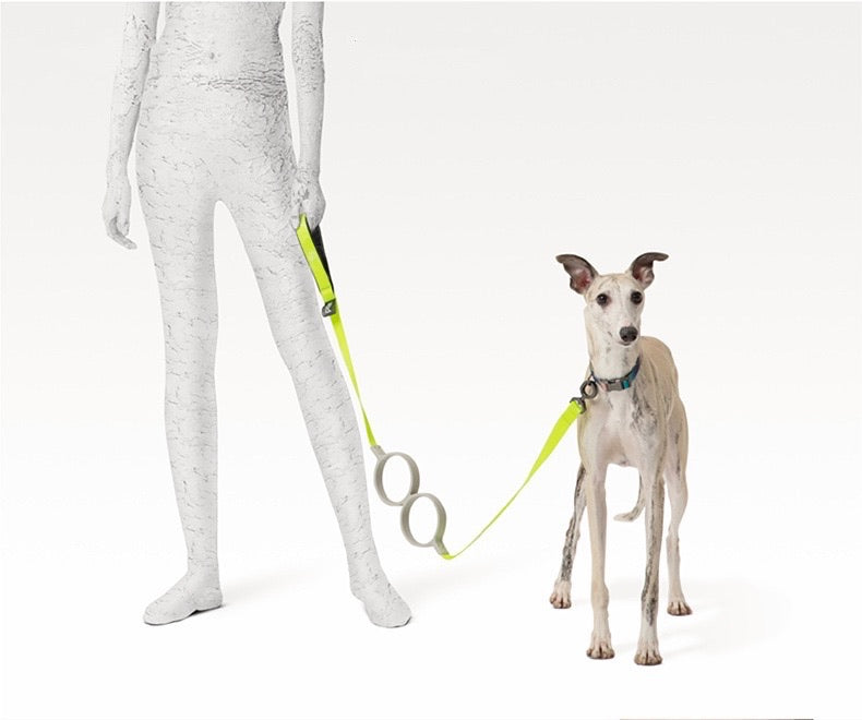 Shock Absorbing Padded Handle Dog Leash