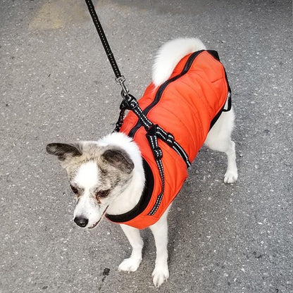 Winter Jacket Coat with Built-in Harness - Paws Discovery 