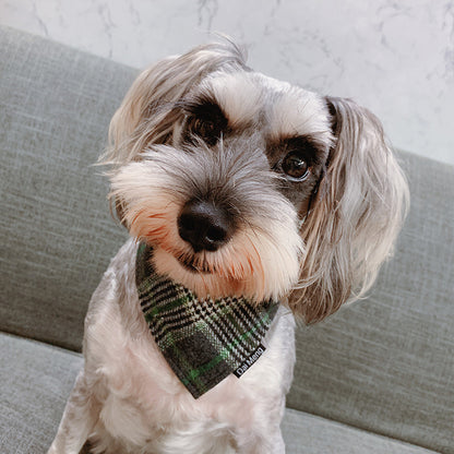 Pet Triangle Bandana Winter - Paws Discovery 