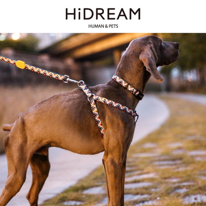 HiDream Adjustable Dog Leash - Paws Discovery 