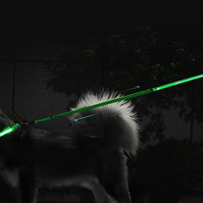 USB Charging LED Light Dog Leash - Paws Discovery 