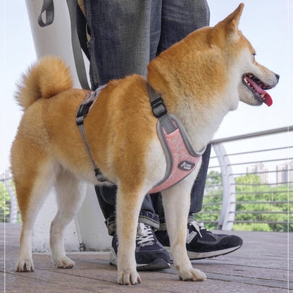 Reflective Adjustable Dog Harness - Paws Discovery 