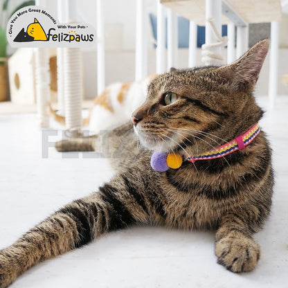 Breakaway Cat Collar Webbing Design - Paws Discovery 