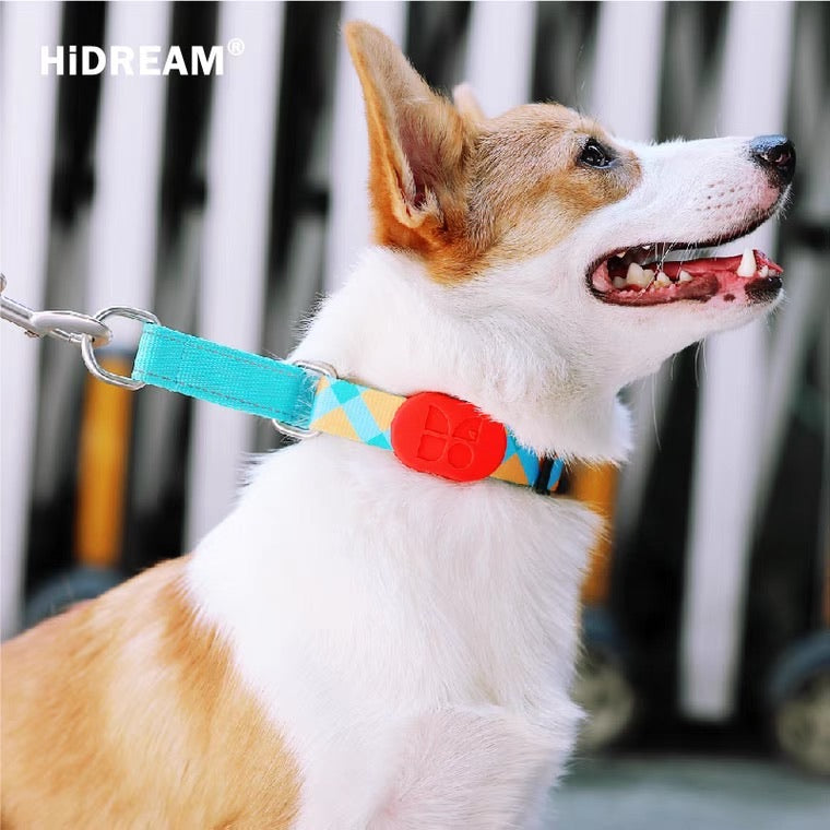 5paws Chain Half P-Chain Training Collar | Comfortable & Durable Alloy Rings ...
