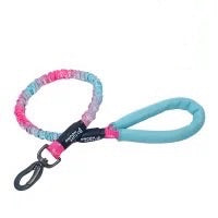 Shock Absorbing Padded Handle Dog Leash - Paws Discovery 