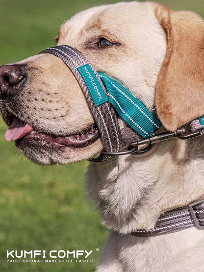 Dog Halti Training HeadCollar - Paws Discovery 