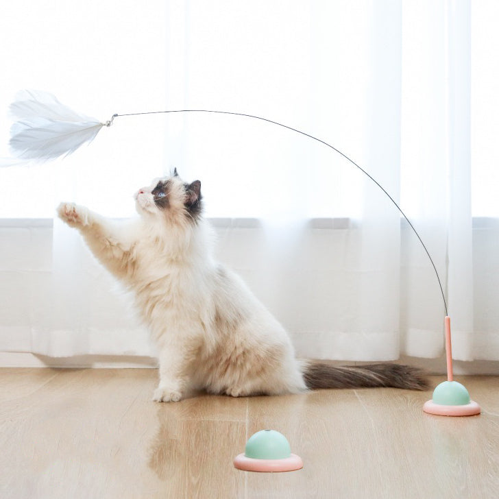 Cat Teaser Wand with Suction Cups