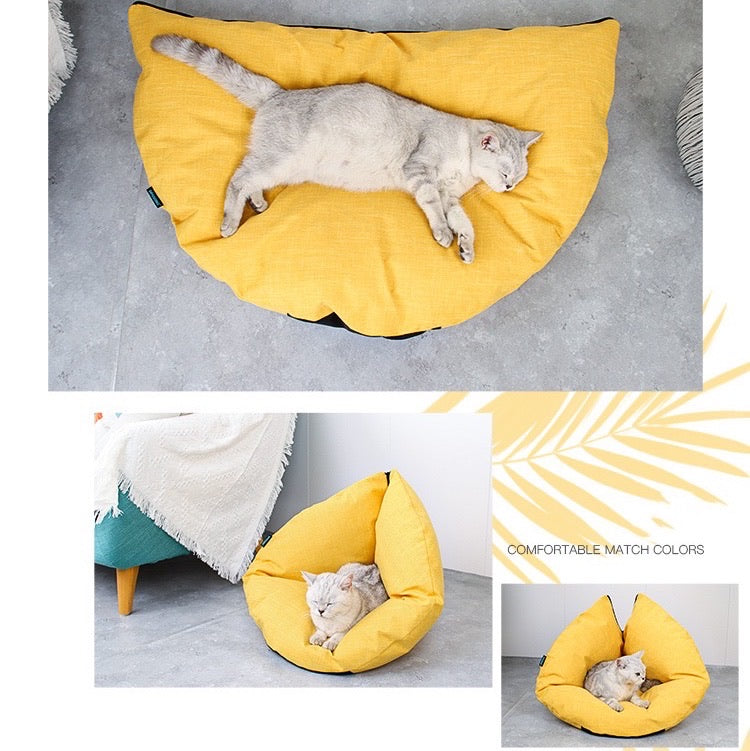 Foldable Cuddler Pet Bed - Paws Discovery 