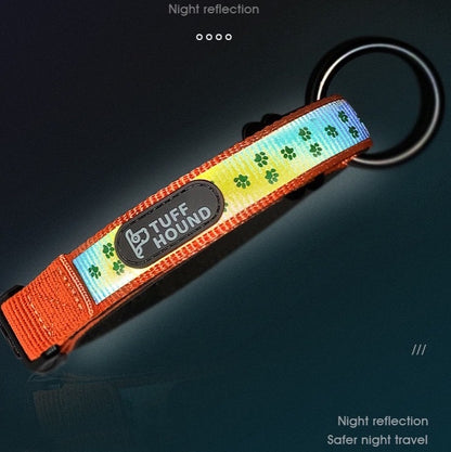 Night Reflective Dog Collar - Paws Discovery 