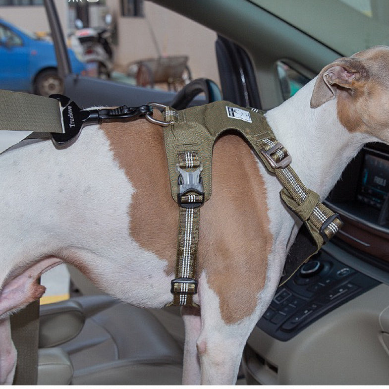 Pet Car Seat Belt Safety Buckle Lock