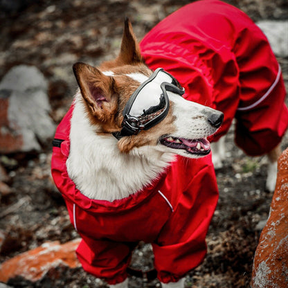 Four Legs Waterproof Windproof Bodysuit Jacket - Paws Discovery 