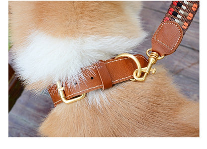 Cowhide Leather & Handmade Webbing Pet Collar - Paws Discovery 