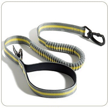 Multi Function Shock Absorbing Dog Leash with Seat Belt Buckle