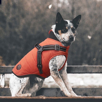 Winter Jacket Coat with Built-in Harness - Paws Discovery 