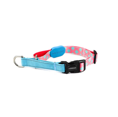 Half P-Chain Training Collar - Paws Discovery 