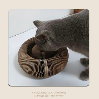 Magnetic Organ Scratching Board - Paws Discovery 