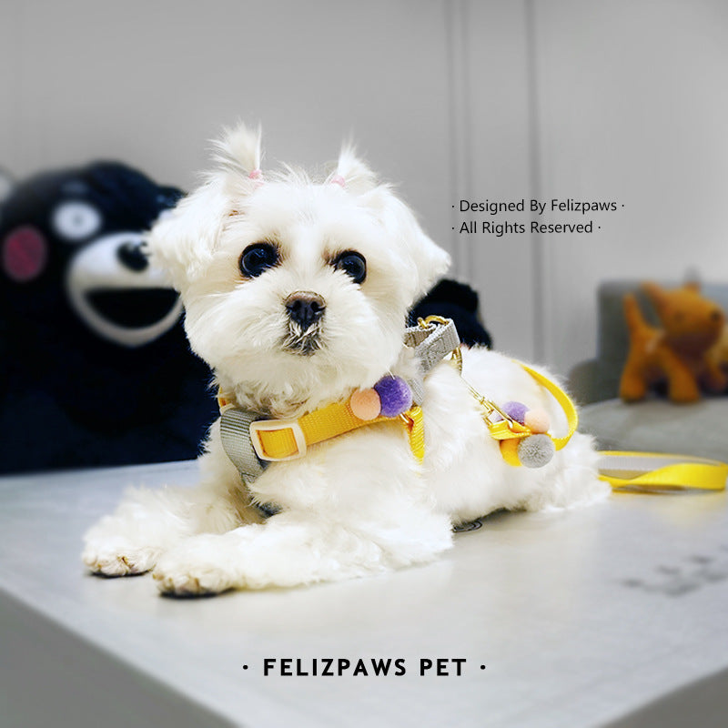 Small Breed Harness Set with Leash - Paws Discovery 