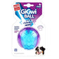 GiGwi TPR Squeaky Ball Dog Toy
