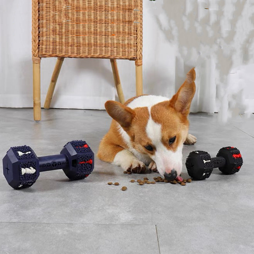 Dumbbell-Natural Rubber Dog Toy for Aggressive Chewers